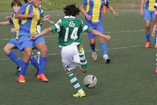 九游体育下载-上海申花再遭柔佛新山逆转，1-3失利痛失连胜机会